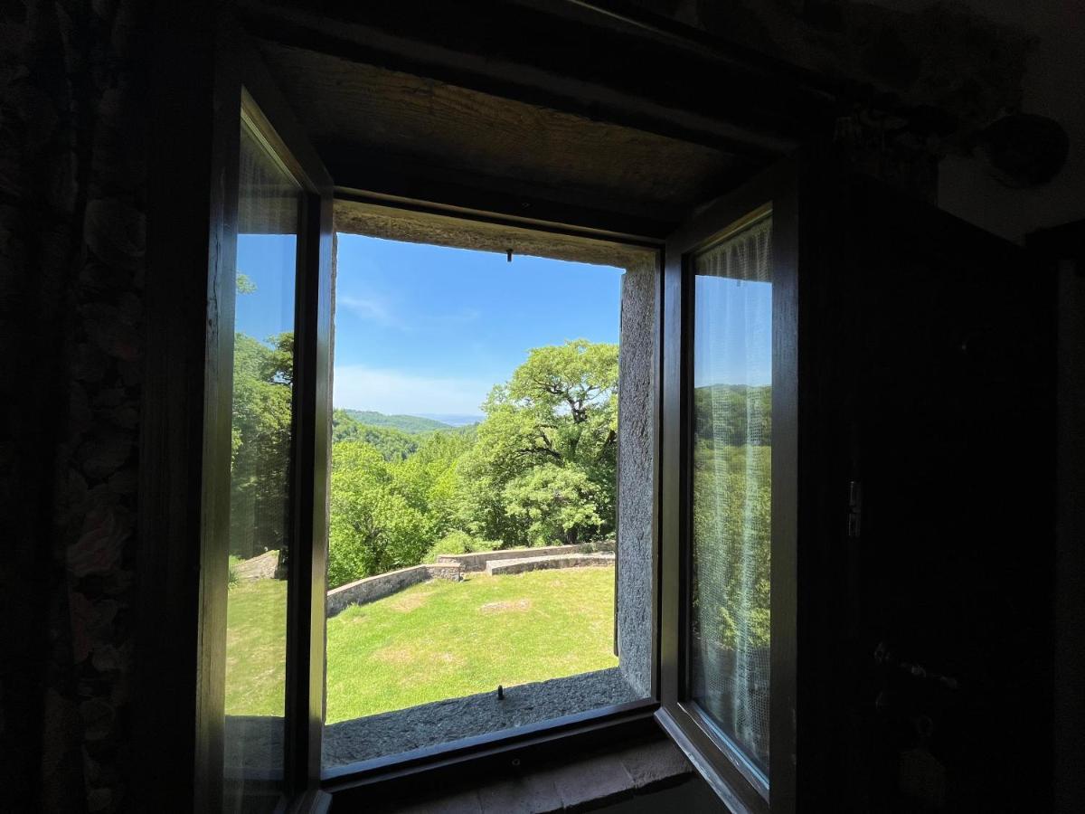 Agriturismo Bio I Rondinelli Arcidosso Zewnętrze zdjęcie