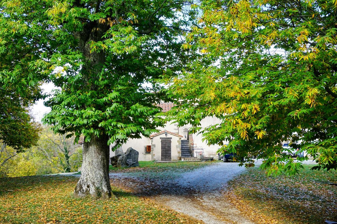 Agriturismo Bio I Rondinelli Arcidosso Zewnętrze zdjęcie
