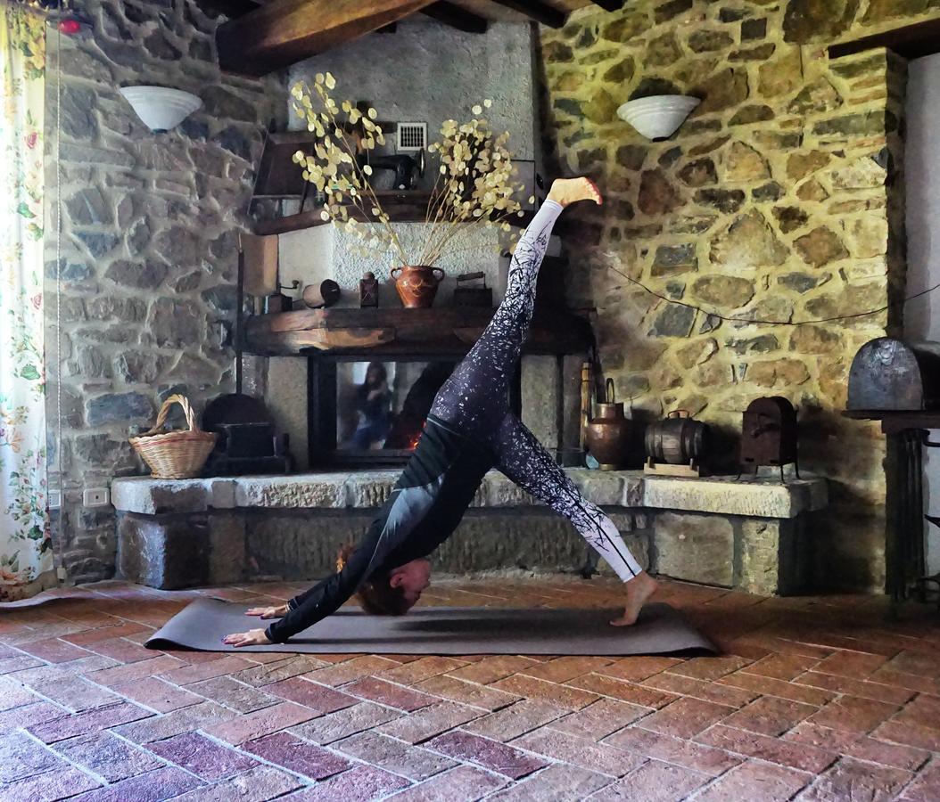 Agriturismo Bio I Rondinelli Arcidosso Zewnętrze zdjęcie