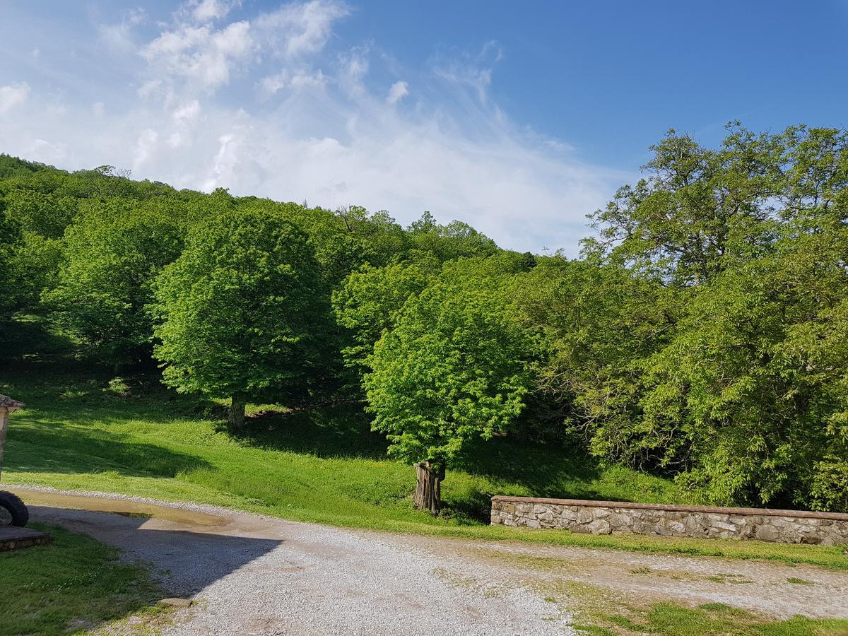 Agriturismo Bio I Rondinelli Arcidosso Zewnętrze zdjęcie