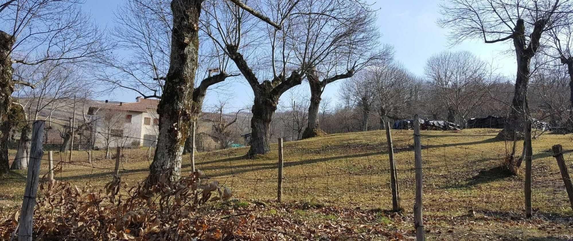 Agriturismo Bio I Rondinelli Arcidosso Zewnętrze zdjęcie