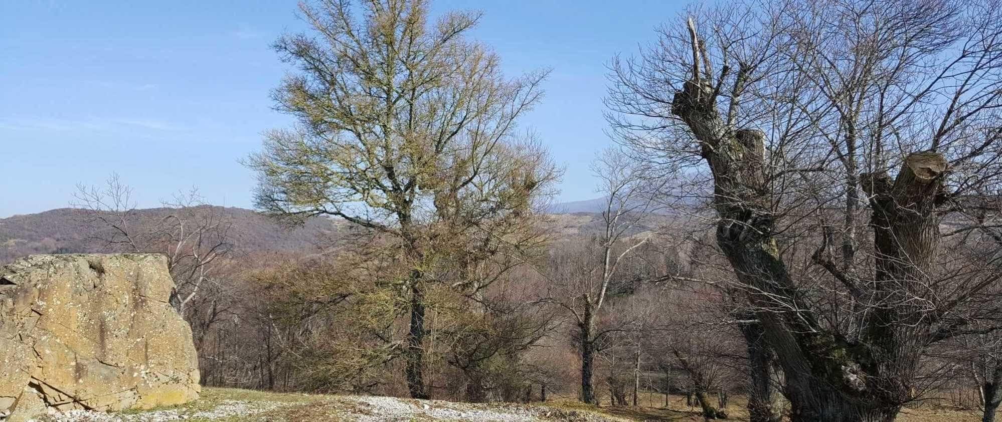 Agriturismo Bio I Rondinelli Arcidosso Zewnętrze zdjęcie